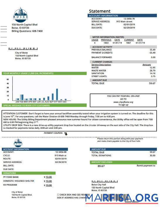 Blank USA Idaho Boise City of Trees water utility bill template in Word and PDF format